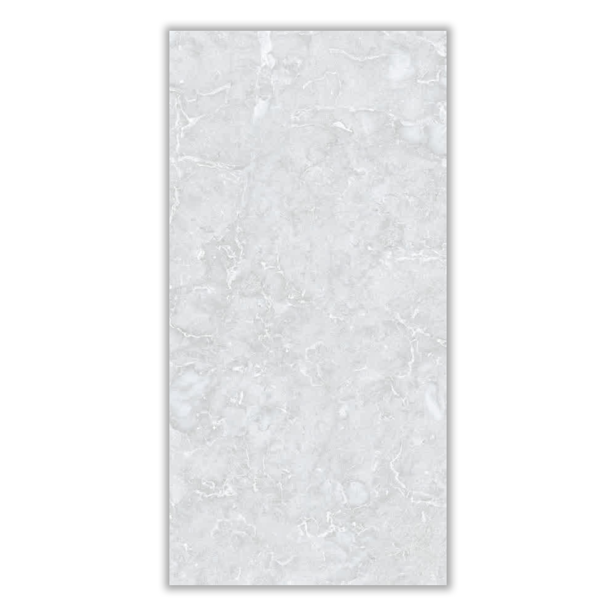 Kaveh Dark Gray - 60x120 cm, Whitebody, 11, ‌BIIa (3-6%), Matt