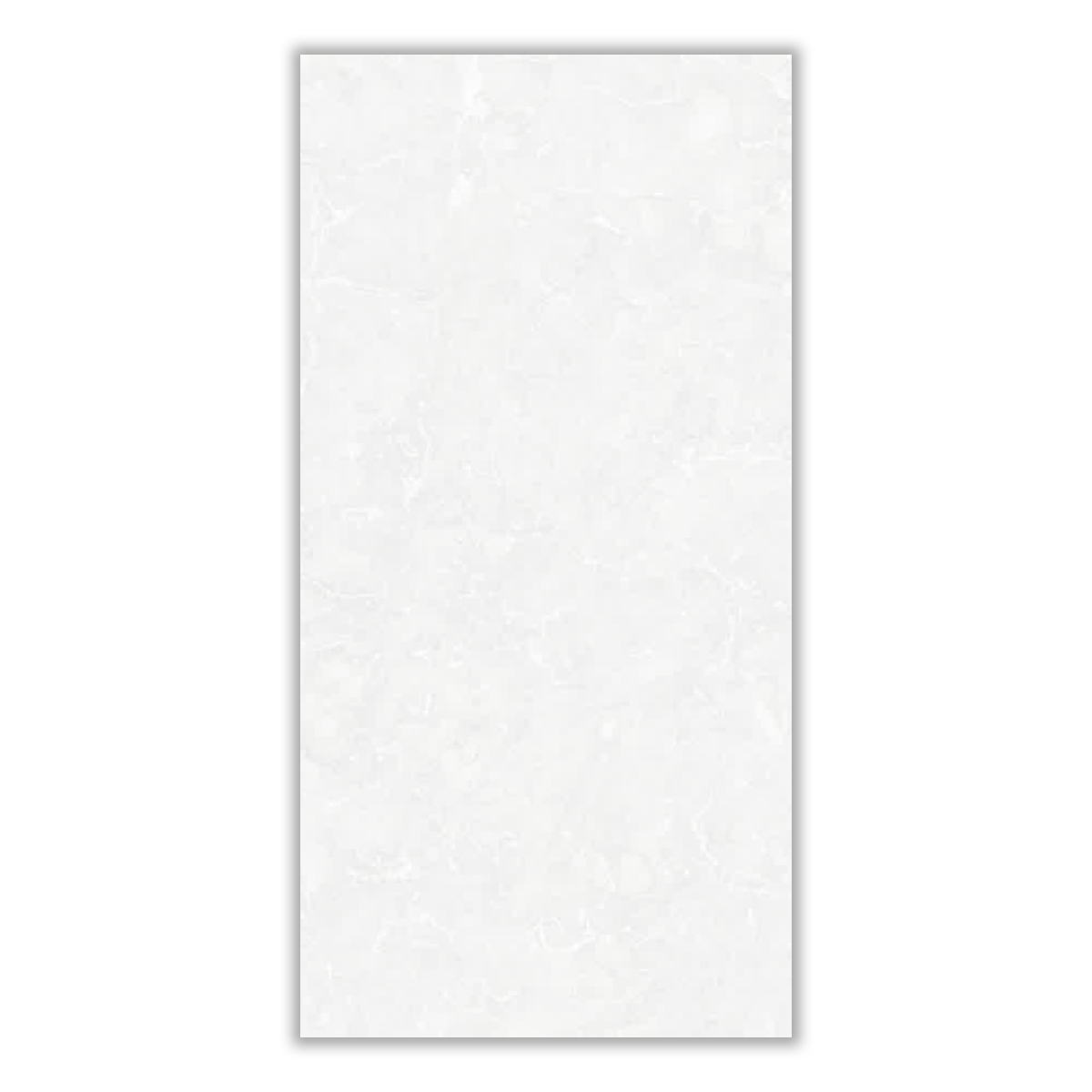 Kaveh Light Gray - 60x120 cm, Whitebody, 11, ‌BIIa (3-6%), Matt