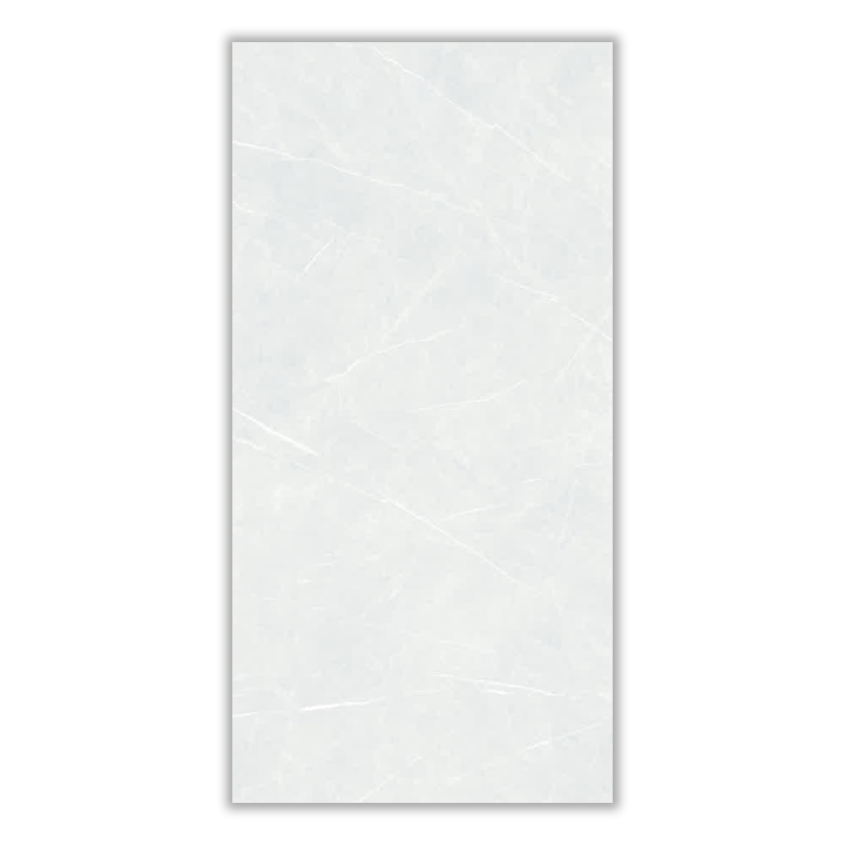 Artin Gray Light - 60x120 cm, Whitebody, 11, ‌BIIa (3-6%), Matt
