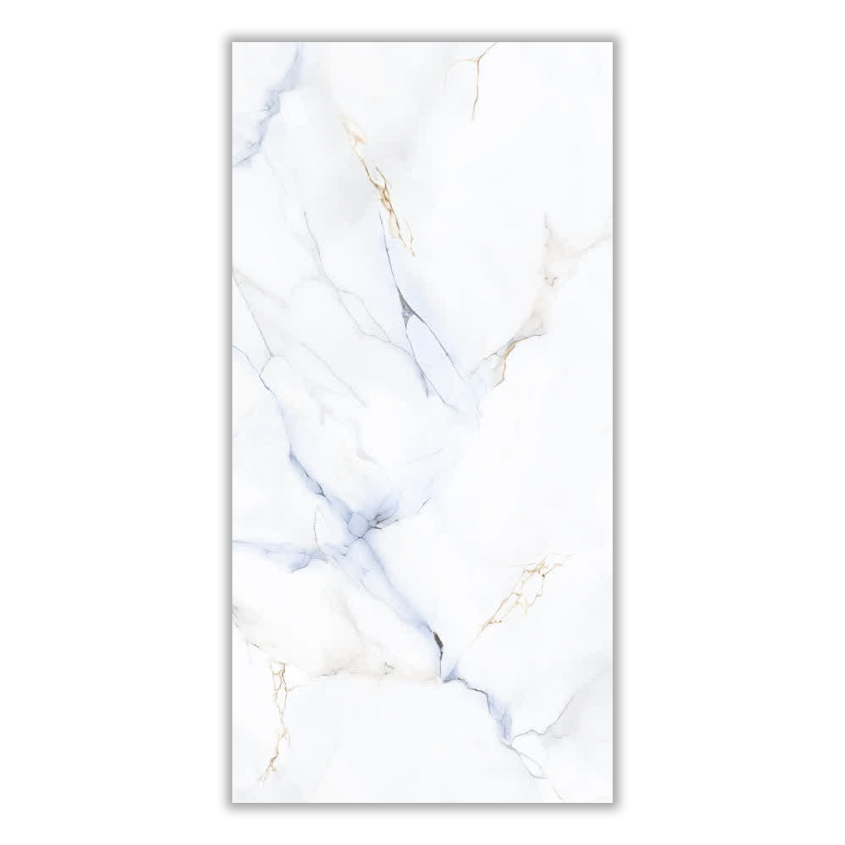 Raymon - 60x120 cm, Whitebody, 11, ‌BIIa (3-6%), Glossy
