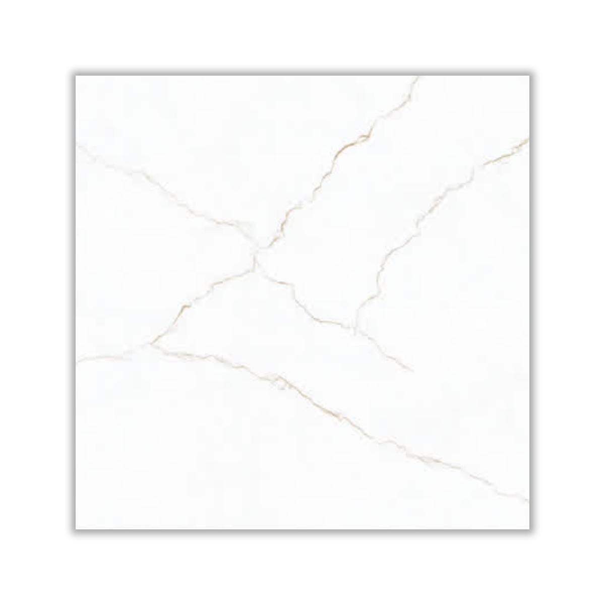 Ramila - 80x80 cm, Whitebody, 12, ‌BIIa (3-6%), Glossy