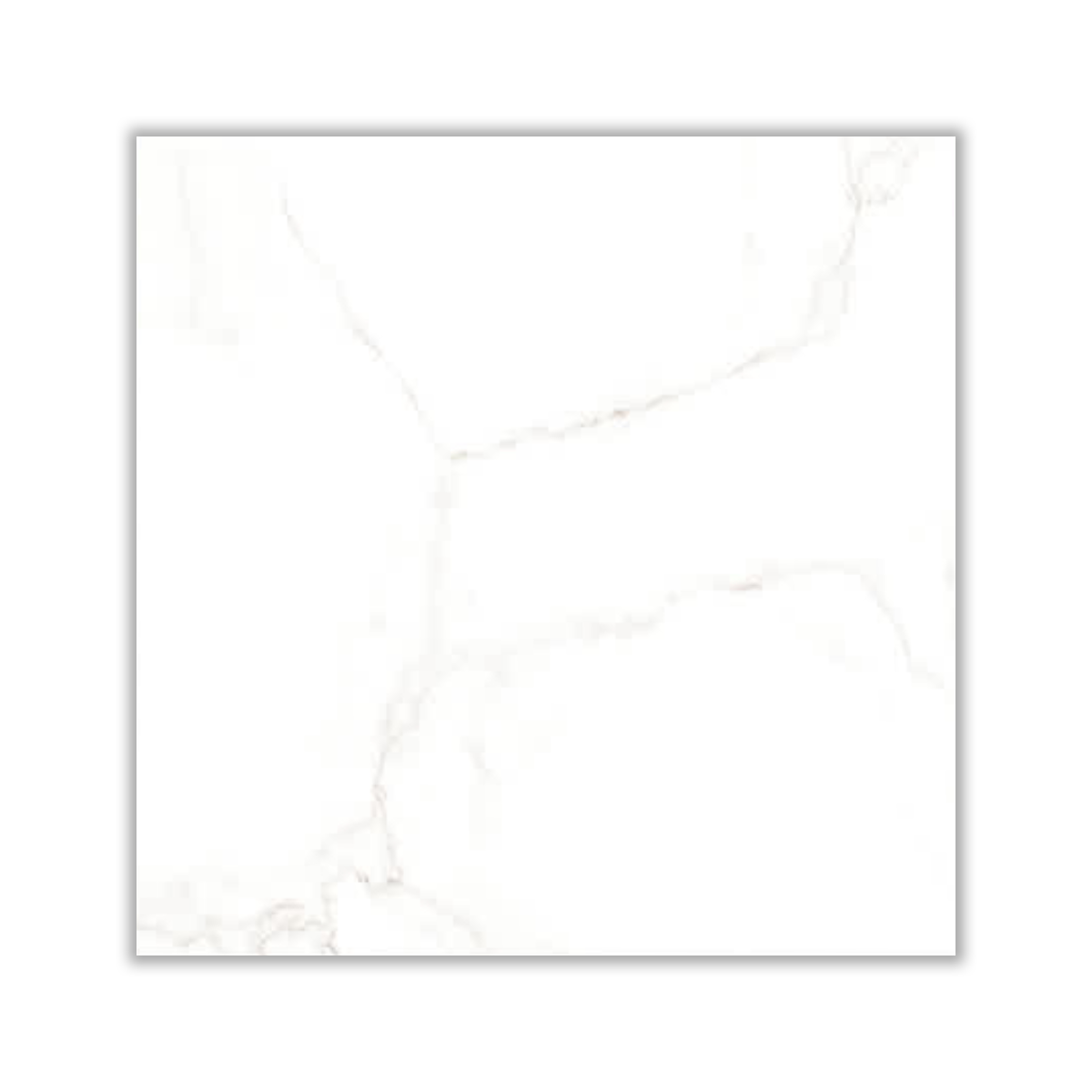 Sanila - 80x80 cm, Whitebody, 12, ‌BIIa (3-6%), Glossy