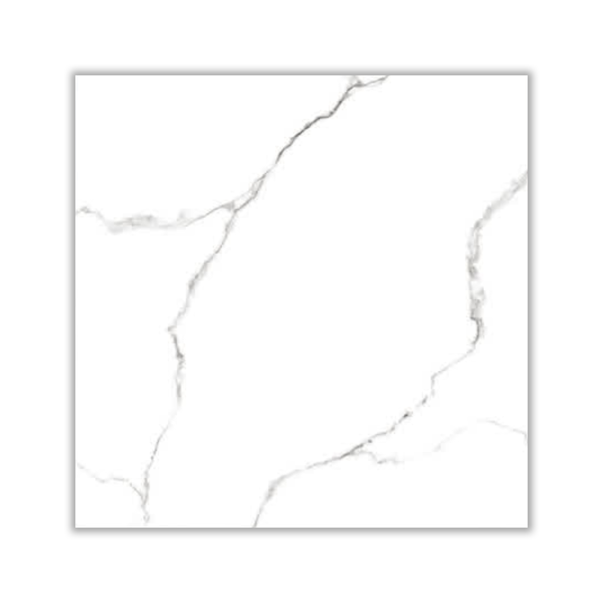 Tandis - 80x80 cm, Whitebody, 12, ‌BIIa (3-6%), Glossy