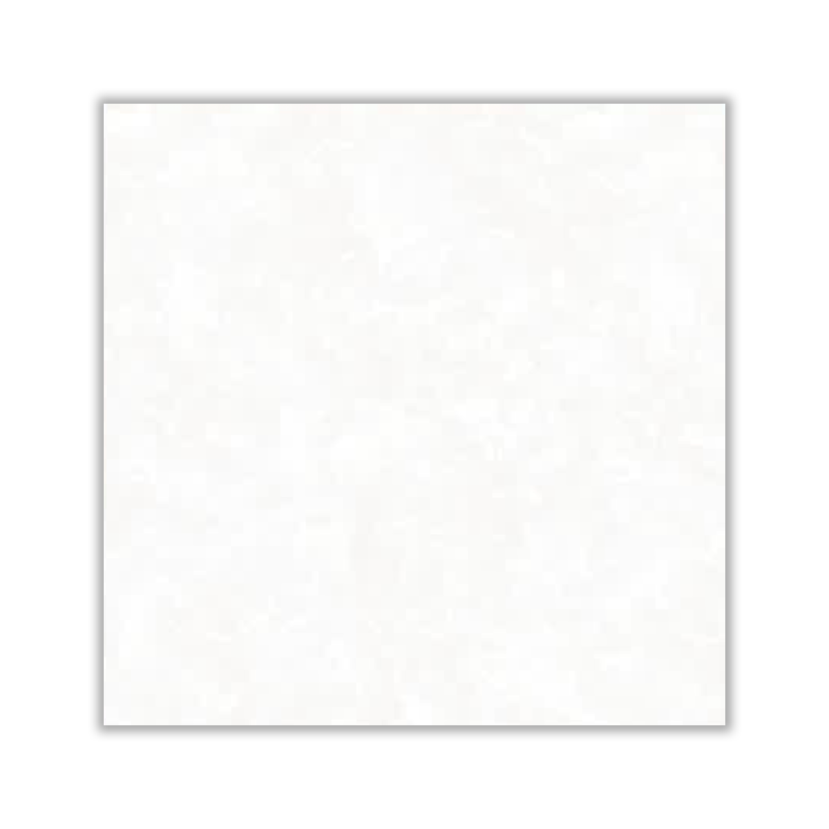 Selda - 80x80 cm, Whitebody, 12, ‌BIIa (3-6%), Glossy