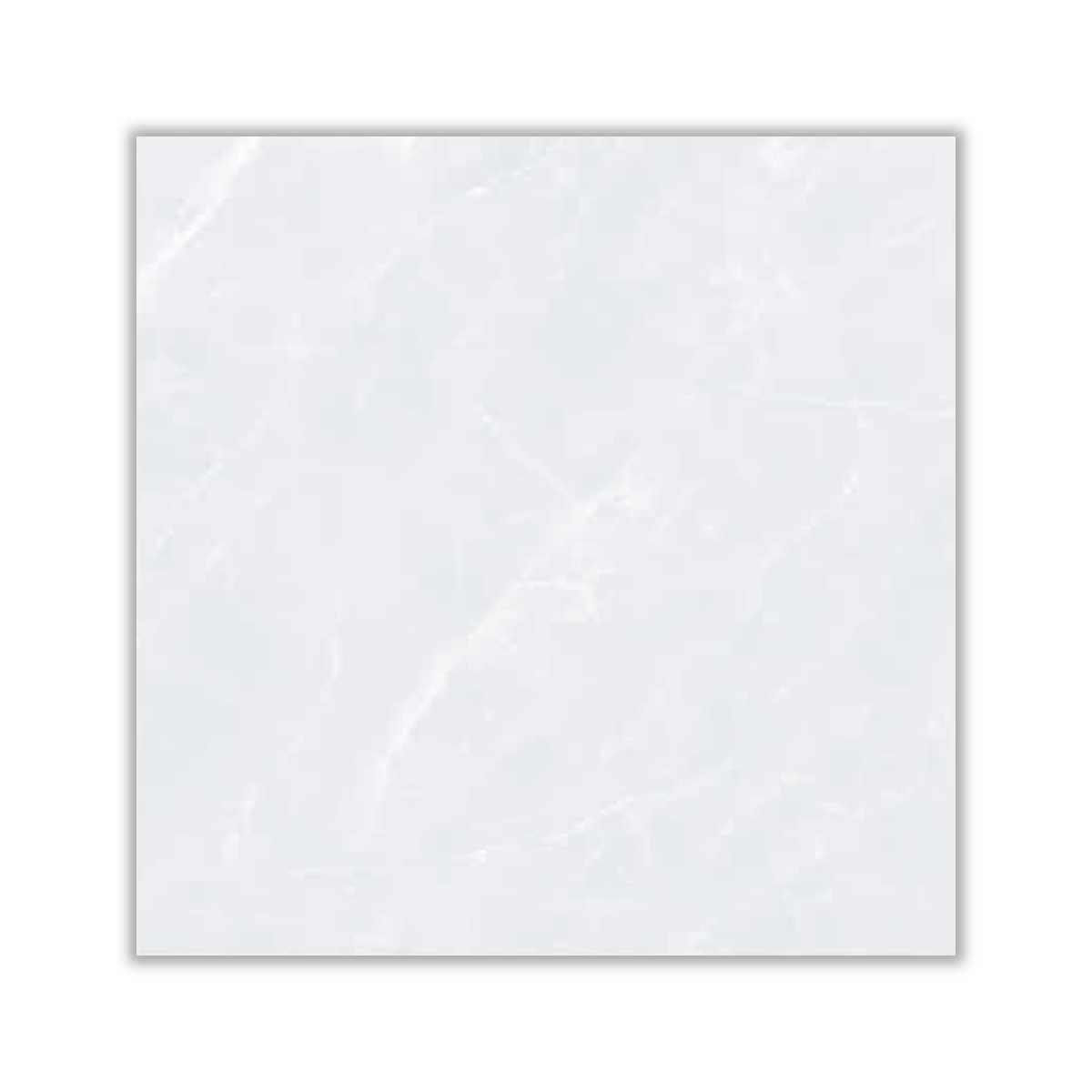 Flora - 80x80 cm, Whitebody, 12, ‌BIIa (3-6%), Glossy