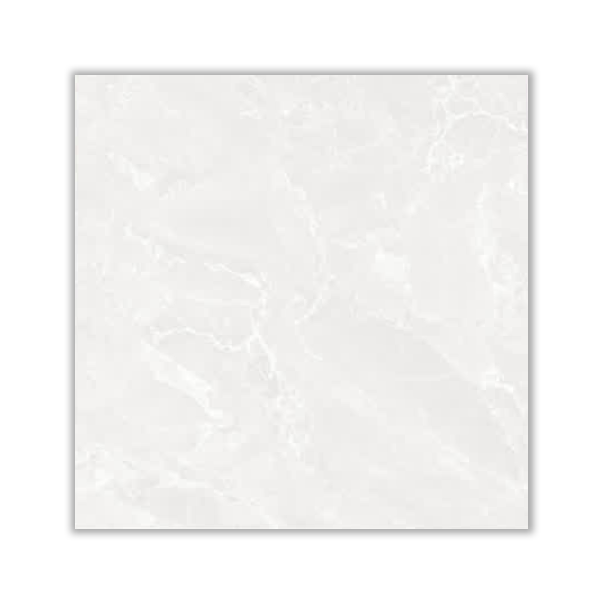 Ketrowa Light - 80x80 cm, Whitebody, 12, ‌BIIa (3-6%), Glossy