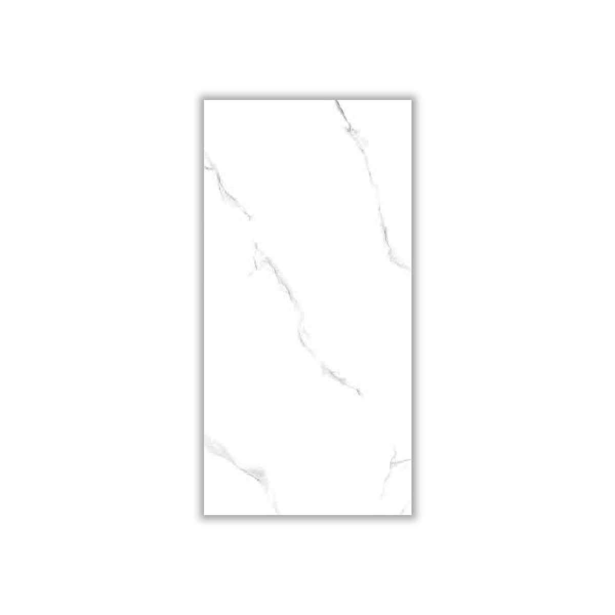 Shakila - 30x60 cm, Whitebody, 9, ‌BIIa (3-6%), Glossy