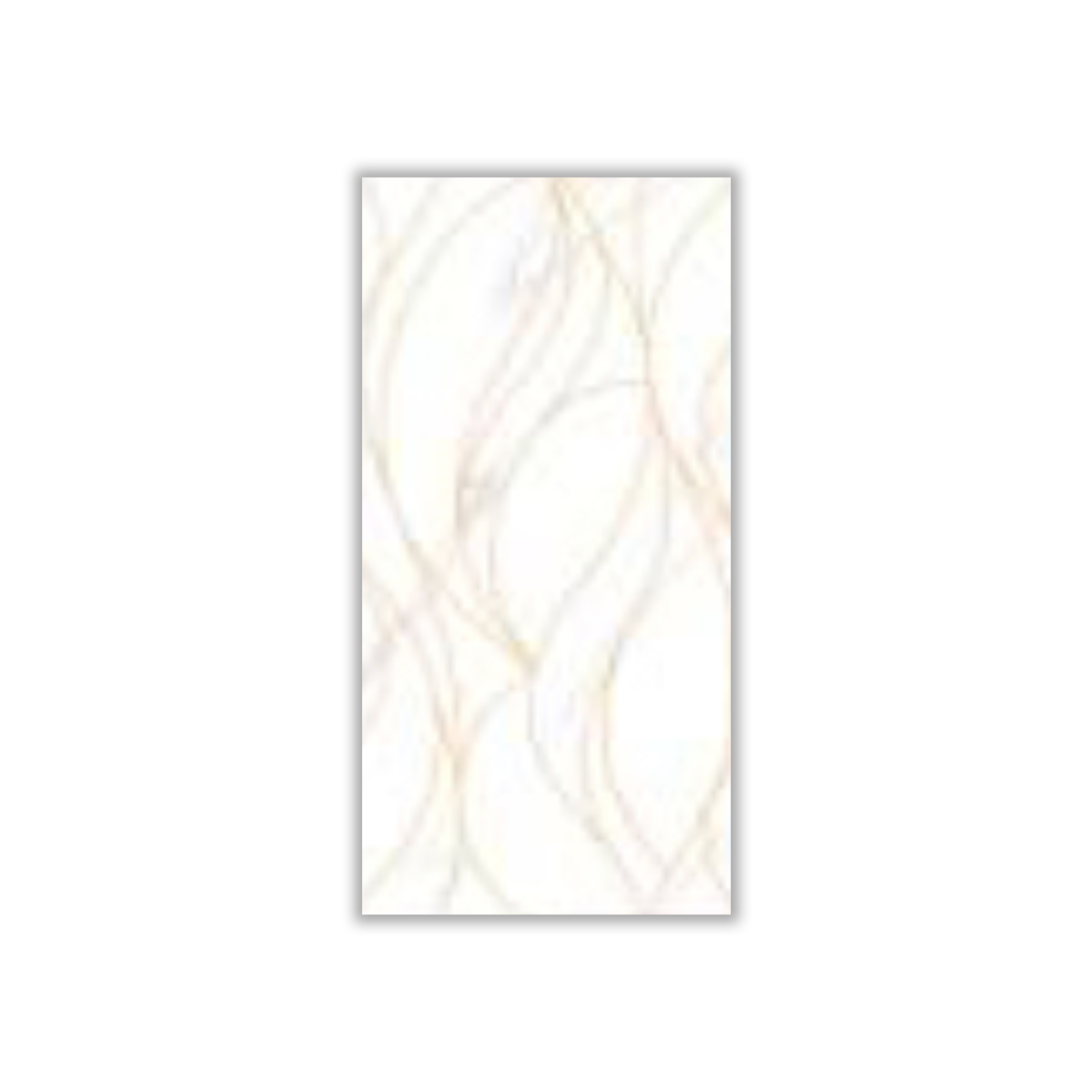 Rita Decor - 30x60 cm, Whitebody, 9, ‌BIIa (3-6%), Glossy