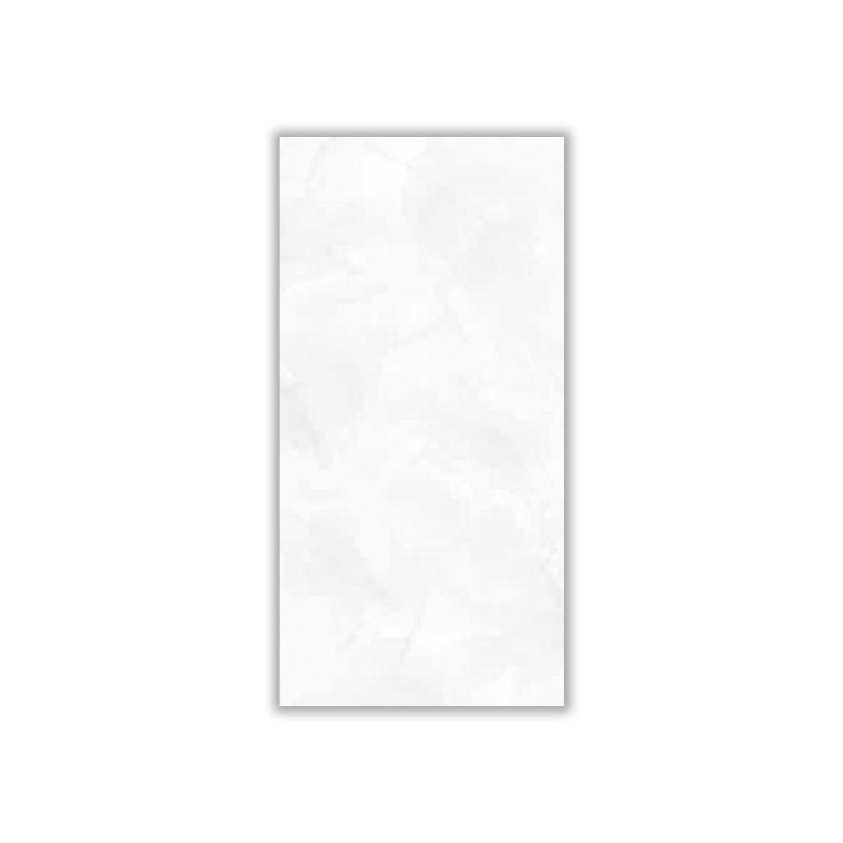 Raika - 30x60 cm, Whitebody, 9, ‌BIIa (3-6%), Glossy