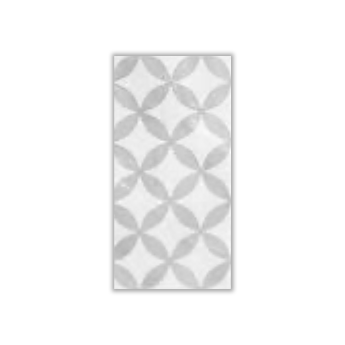 Alisa Decor - 30x60 cm, Whitebody, 9, ‌BIIa (3-6%), Glossy