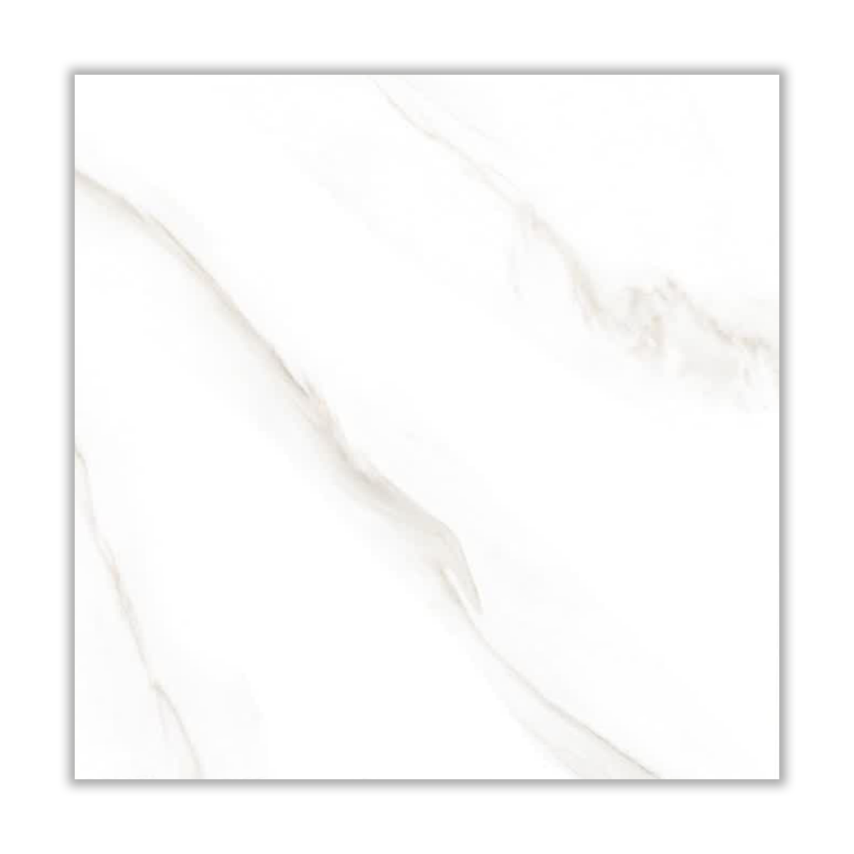 Kalkate Gold - 100x100 cm, Whitebody, 11, BIb (0.5-3%), Glossy
