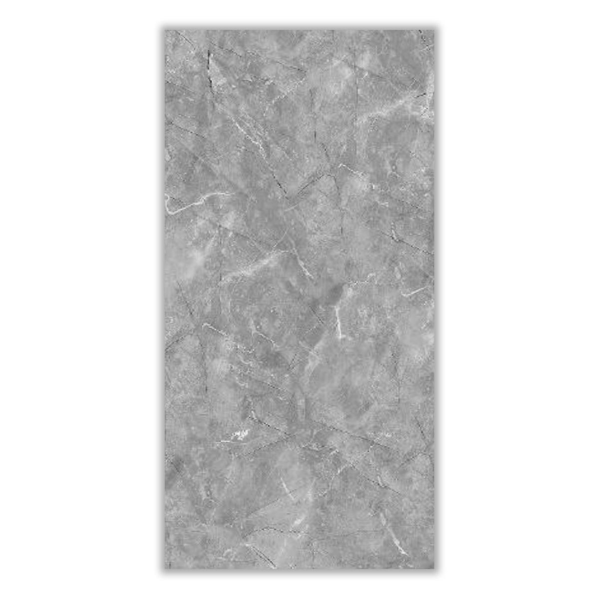 Avid  Dark - 60x120 cm, Porcelain, 12, ‌BIa (0-0.5%), Polished