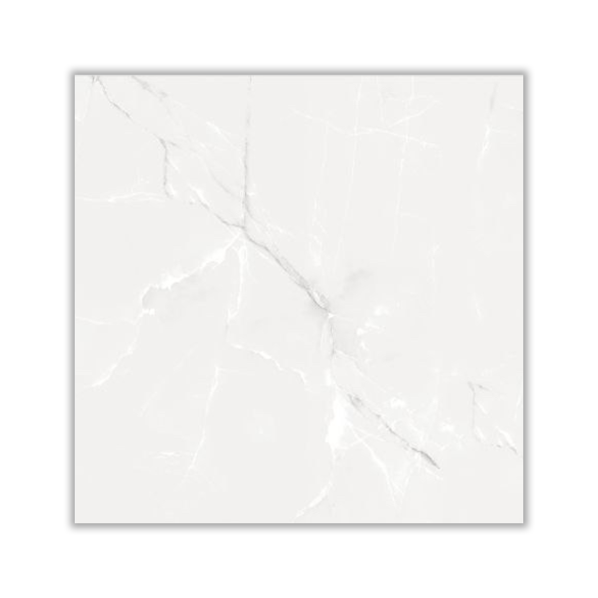 Arshia - 80x80 cm, Porcelain, 12, ‌BIa (0-0.5%), Polished