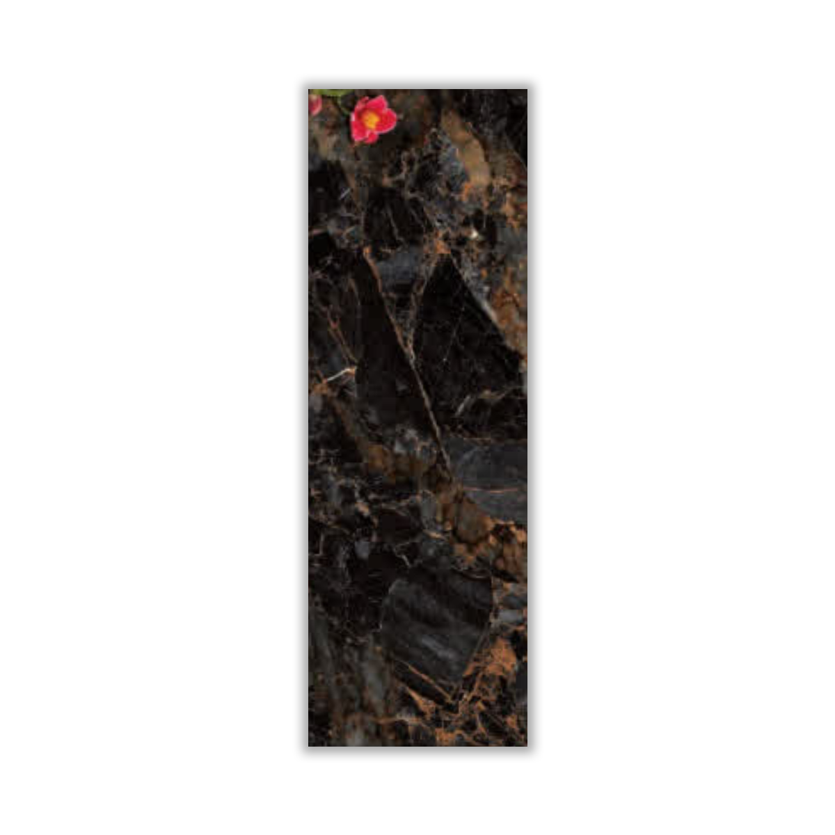 Laidy2 - 30x90 cm, Redbody, 10, ‌BIIa (3-6%), Glossy