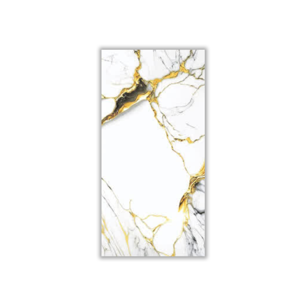 Arizona - 30x60 cm, Redbody, 9, ‌BIIa (3-6%), Glossy