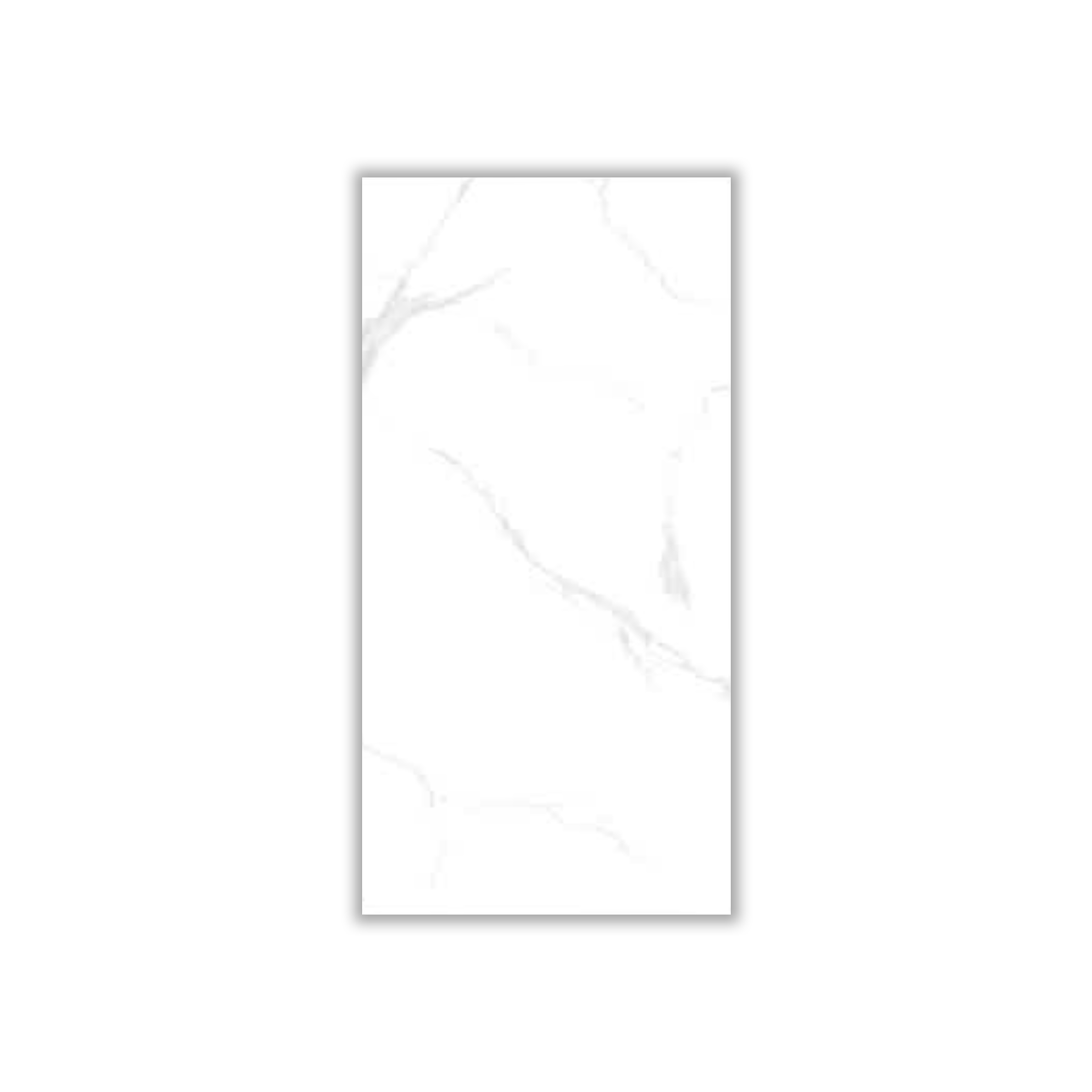Ameria - 30x60 cm, Redbody, 9, ‌BIIa (3-6%), Glossy