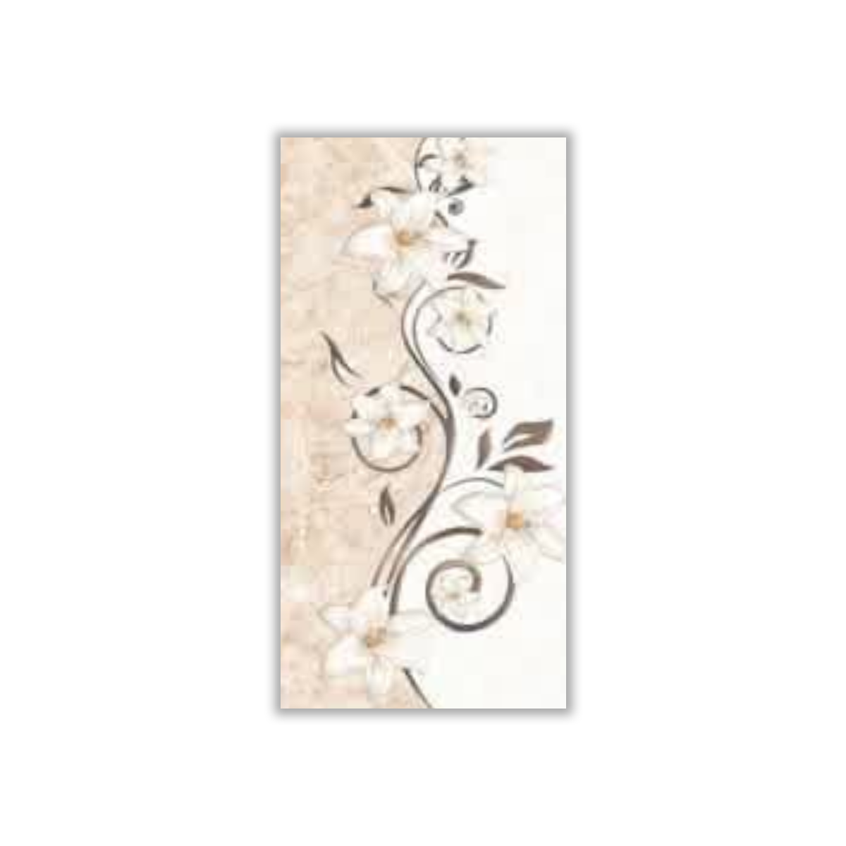 Amjad Cream Decor - 30x60 cm, Redbody, 9, ‌BIIa (3-6%), Glossy