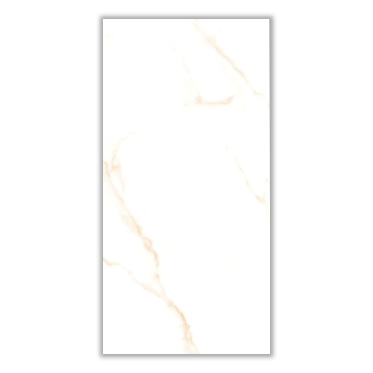 FWZ603 - 60x120 cm, Whitebody, 11, ‌BIIa (3-6%), Matt