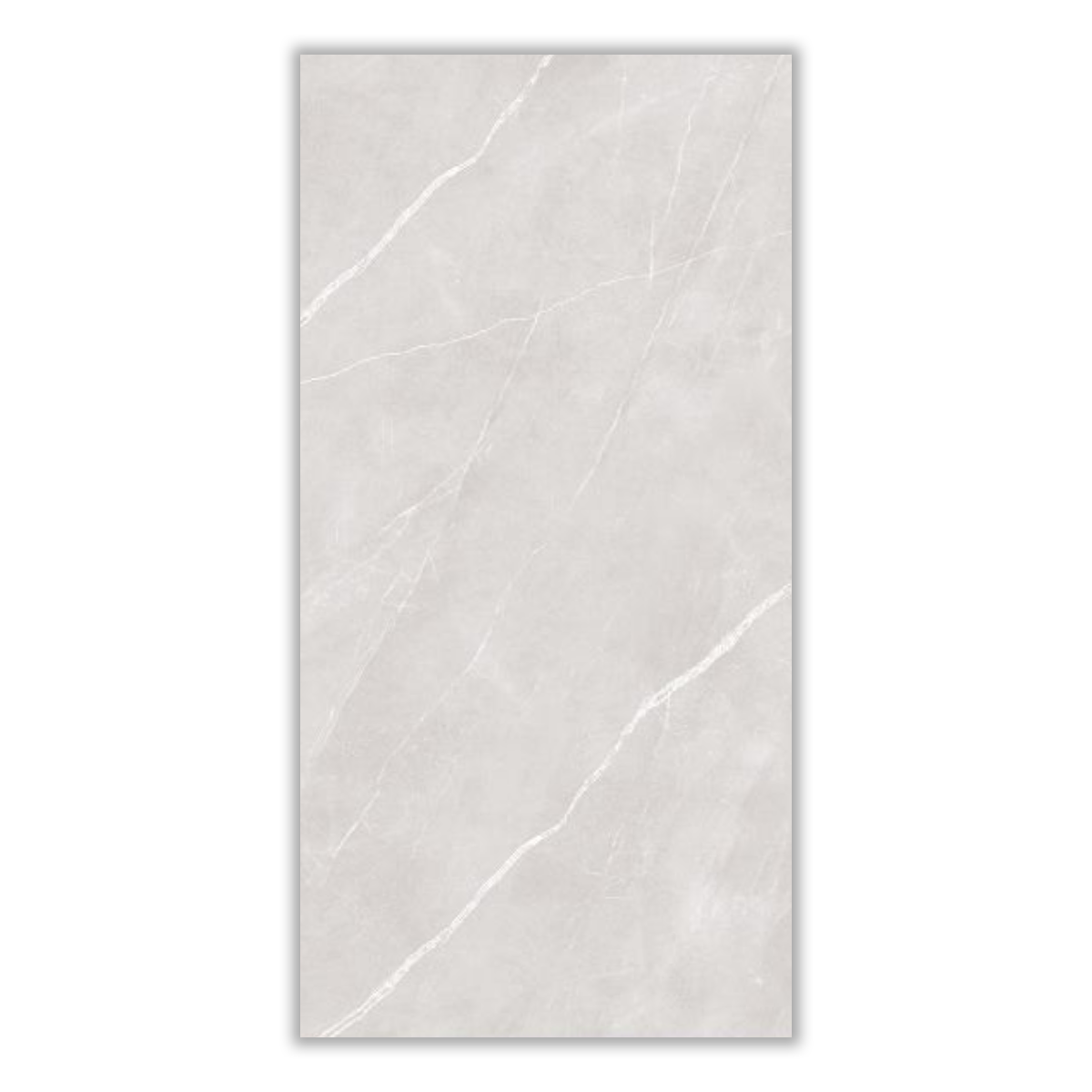 FWZ605 - 60x120 cm, Whitebody, 11, ‌BIIa (3-6%), Matt