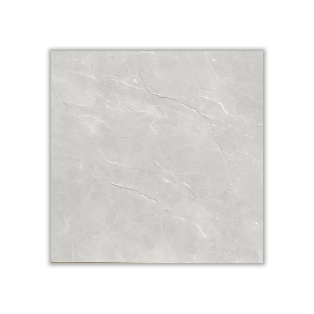Arman - 60x60 cm, Whitebody, 10, ‌BIIa (3-6%), Glossy