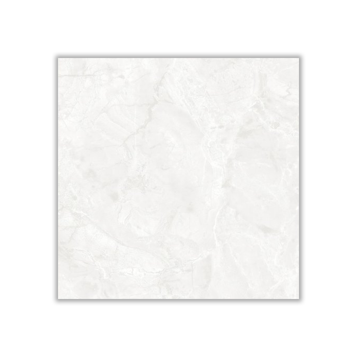Arvin - 60x60 cm, Whitebody, 10, ‌BIIa (3-6%), Glossy