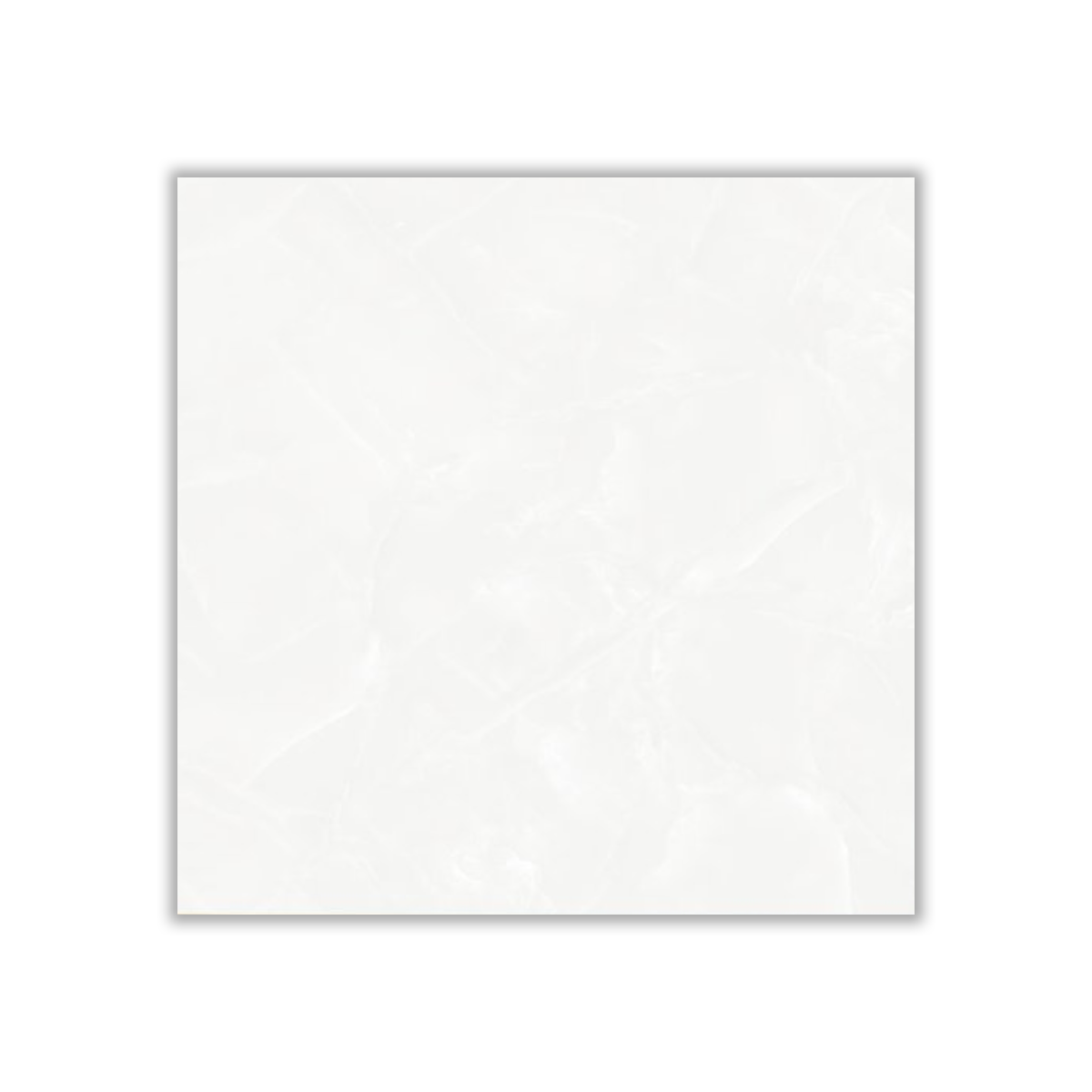 Iliya - 60x60 cm, Whitebody, 10, ‌BIIa (3-6%), Glossy