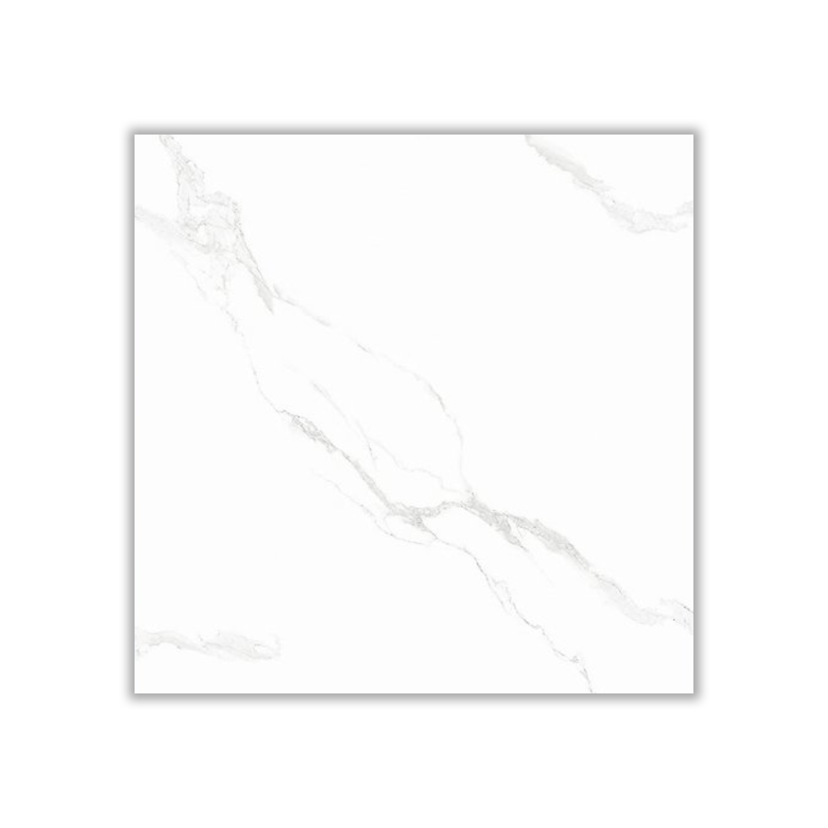 Mahsa103 - 60x60 cm, Whitebody, 10, ‌BIIa (3-6%), Glossy