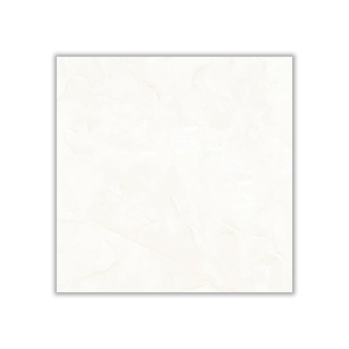 Pasargad - 60x60 cm, Whitebody, 10, ‌BIIa (3-6%), Glossy