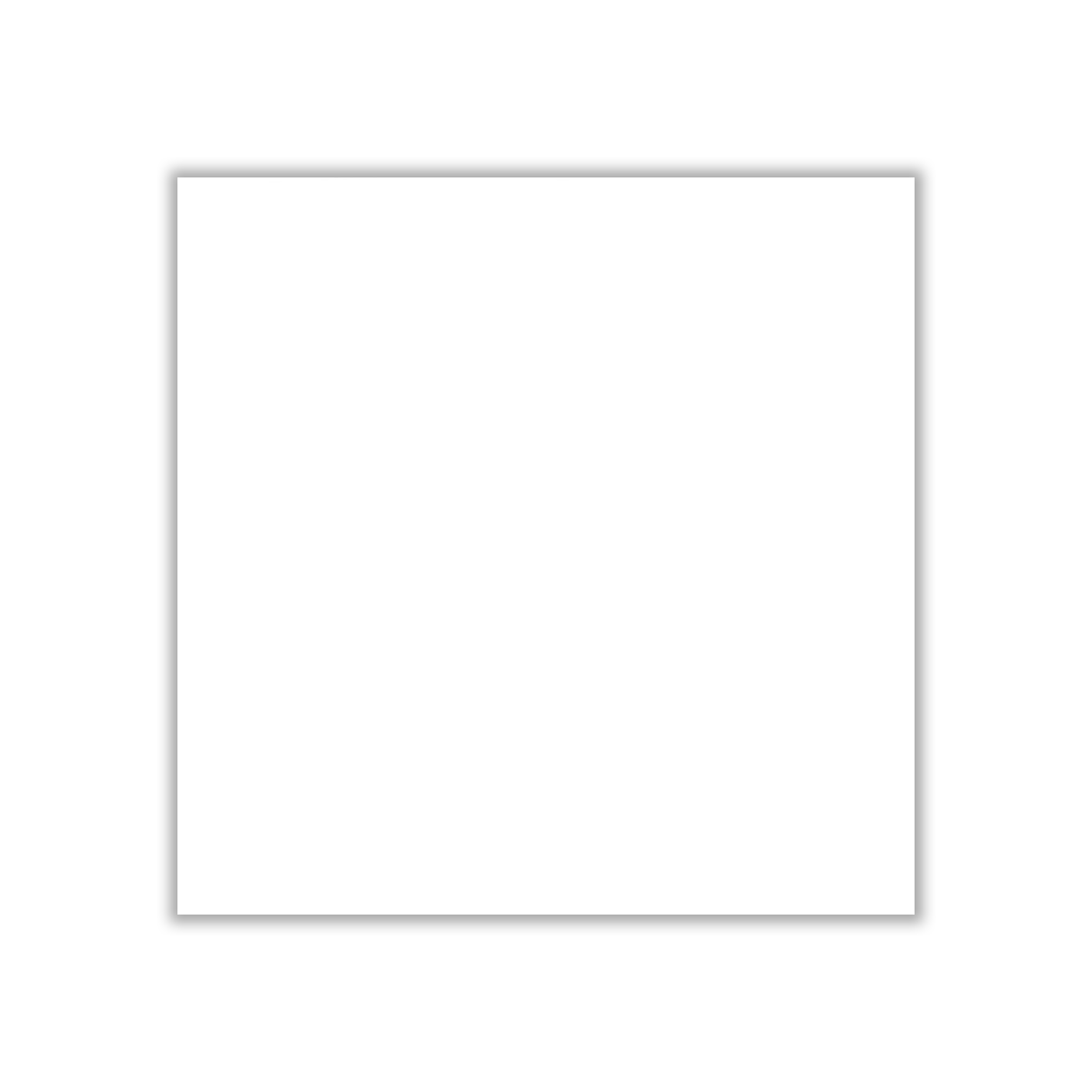 White - 60x60 cm, Whitebody, 10, ‌BIIa (3-6%), Glossy