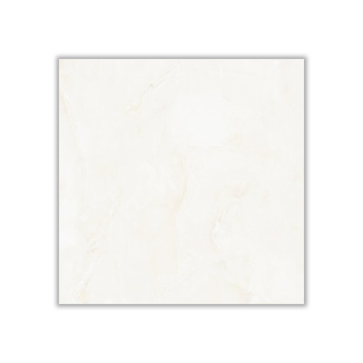 Vida - 60x60 cm, Whitebody, 10, ‌BIIa (3-6%), Glossy