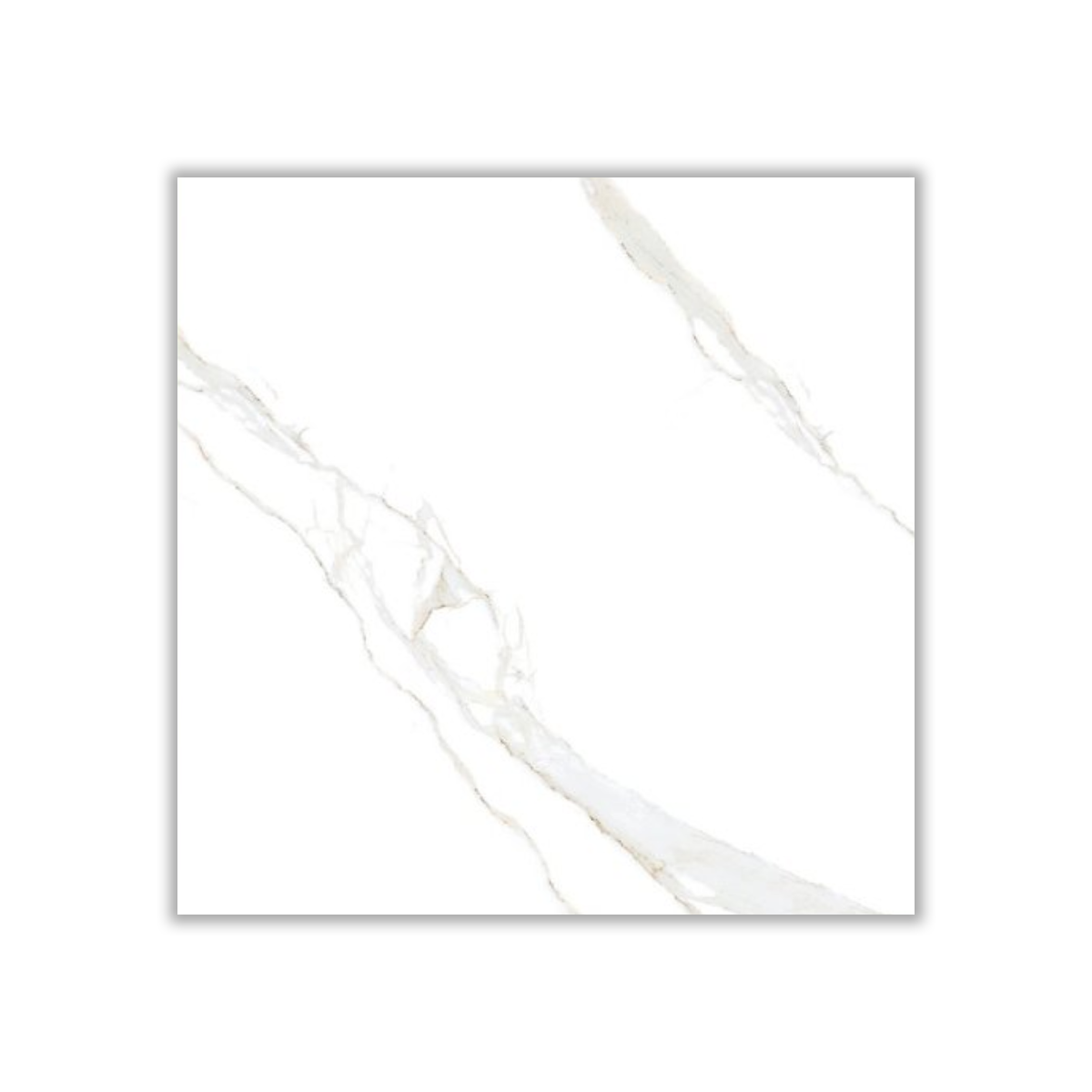 Stone24 - 60x60 cm, Whitebody, 10, ‌BIIa (3-6%), Glossy