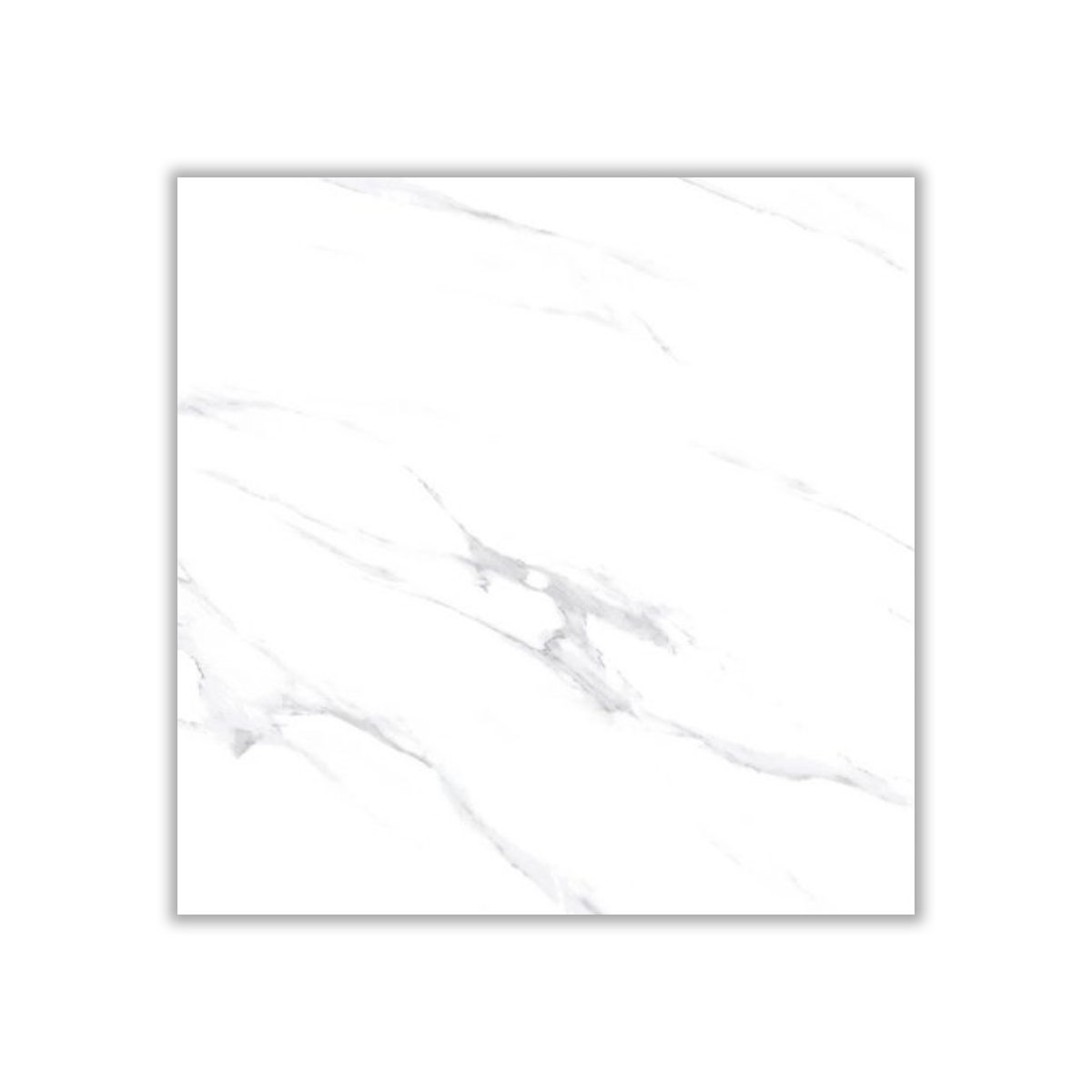 Andia - 60x60 cm, Whitebody, 10, ‌BIIa (3-6%), Glossy
