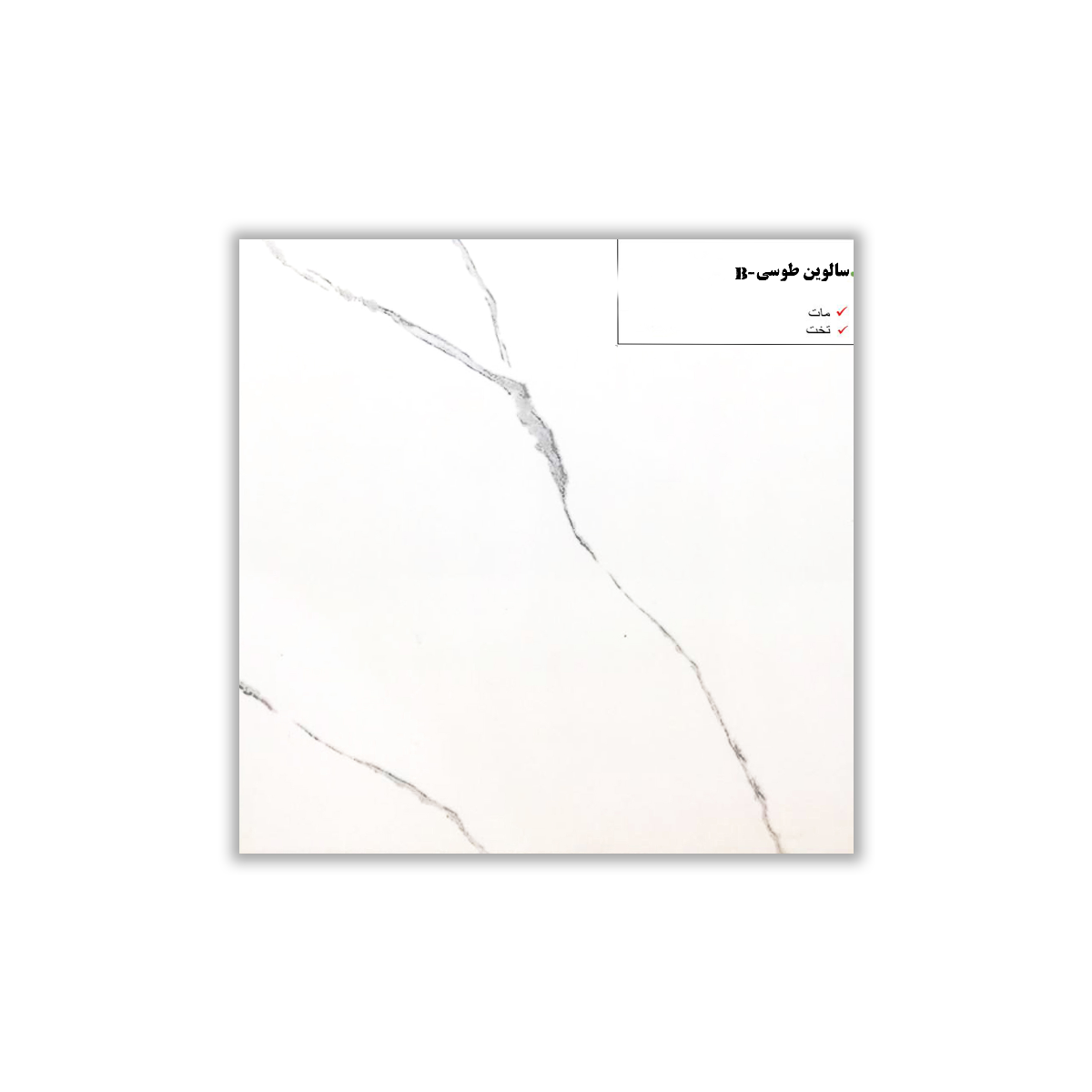 Salvin - 30x30 cm, Whitebody, 9.5, ‌BIIa (3-6%), Matt