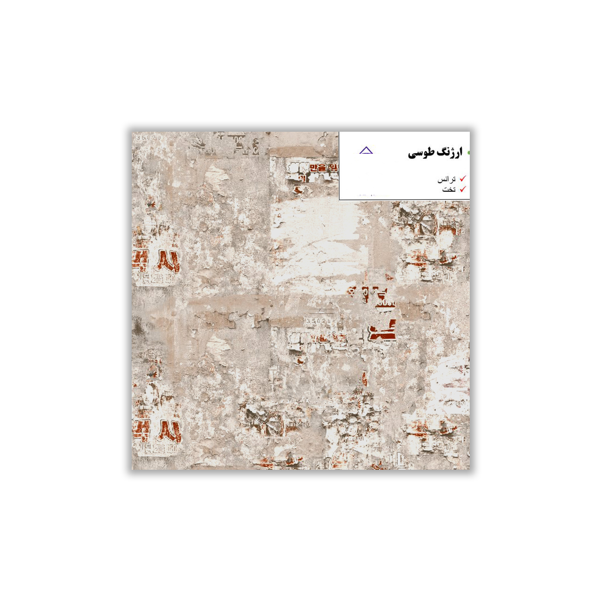 Arzhang Gray - 30x30 cm, Redbody, 9.5, ‌BIIb (6-10%), Glossy