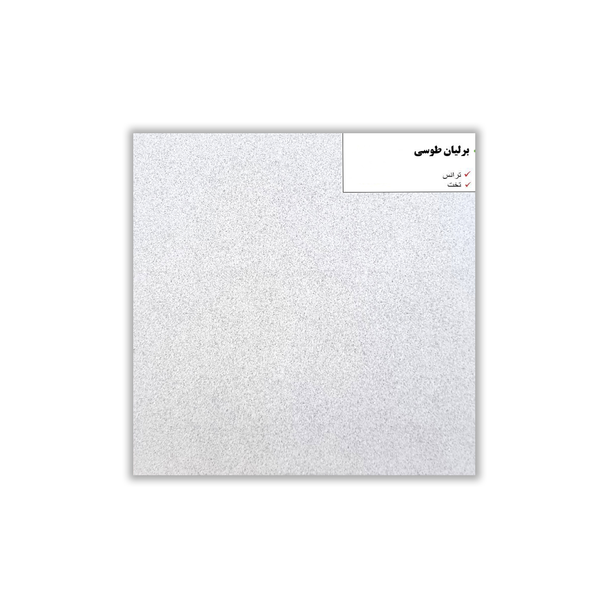 Berelian Gray - 30x30 cm, Whitebody, 9.5, ‌BIIb (6-10%), Glossy