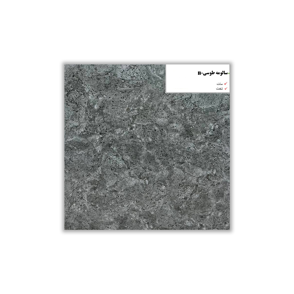 Salomeh Gray - 30x30 cm, Whitebody, 9.5, ‌BIIa (3-6%), Matt