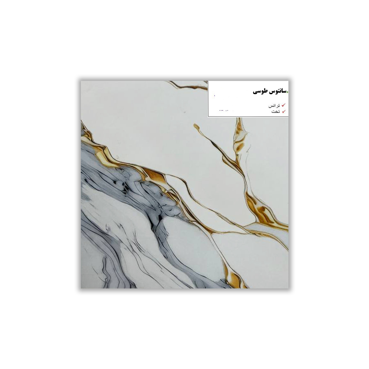Santos Gray - 30x30 cm, Redbody, 9.5, ‌BIIa (3-6%), Glossy