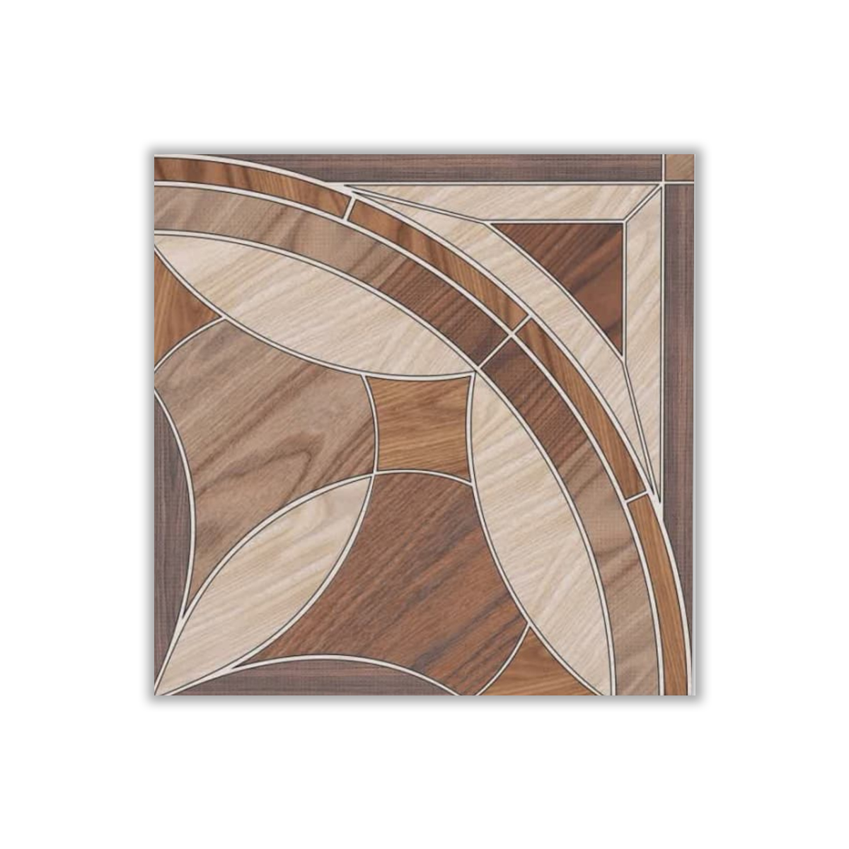 Daeme - 50x50 cm, Redbody, 10, ‌BIIa (3-6%), Glossy