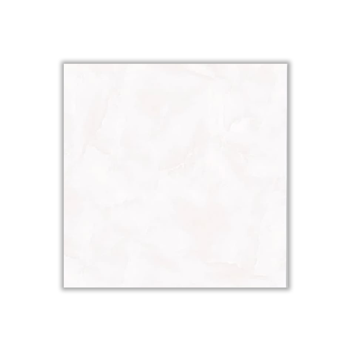 Derasania - 50x50 cm, Redbody, 10, ‌BIIa (3-6%), Glossy