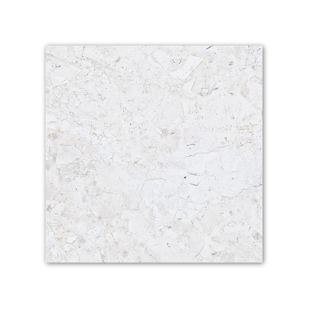 Pardis Gray - 60x60 cm, Redbody, 10, ‌BIIb (6-10%), Matt