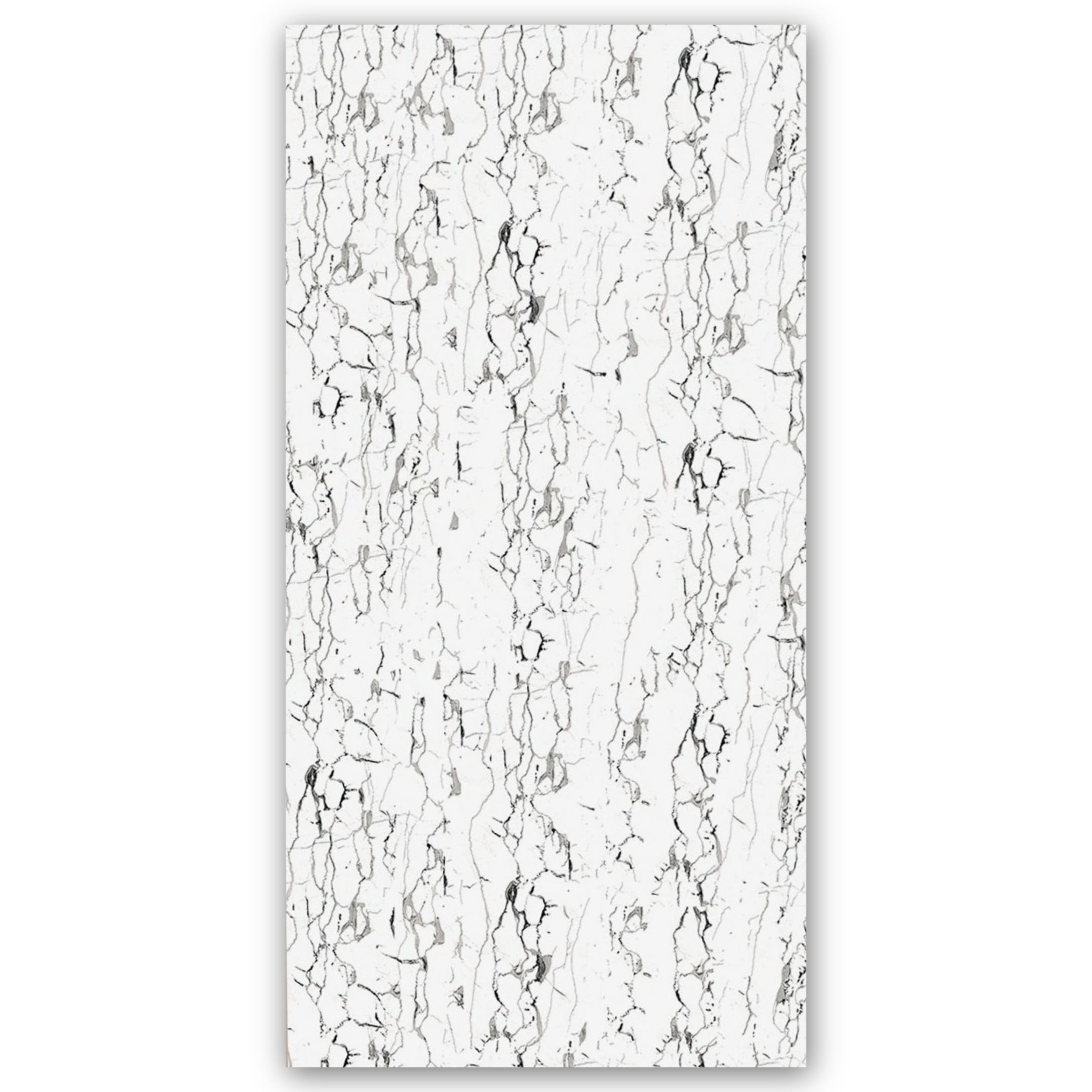 ANJELA - 60x120 cm, Whitebody, 11, ‌BIIa (3-6%), Glossy