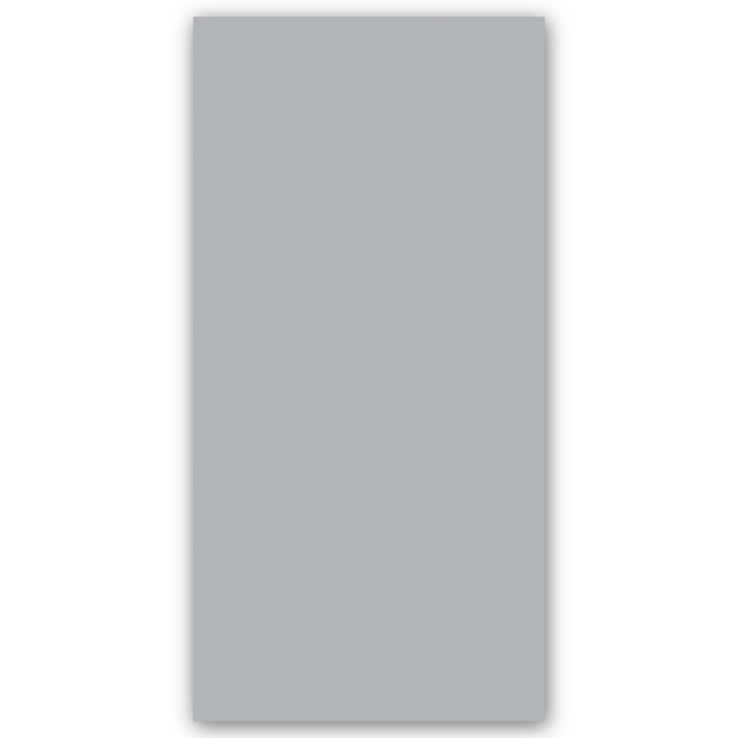 MONOCOLOR_LIGHT_GRAY - 60x120 cm, Whitebody, 11, ‌BIIa (3-6%), Glossy