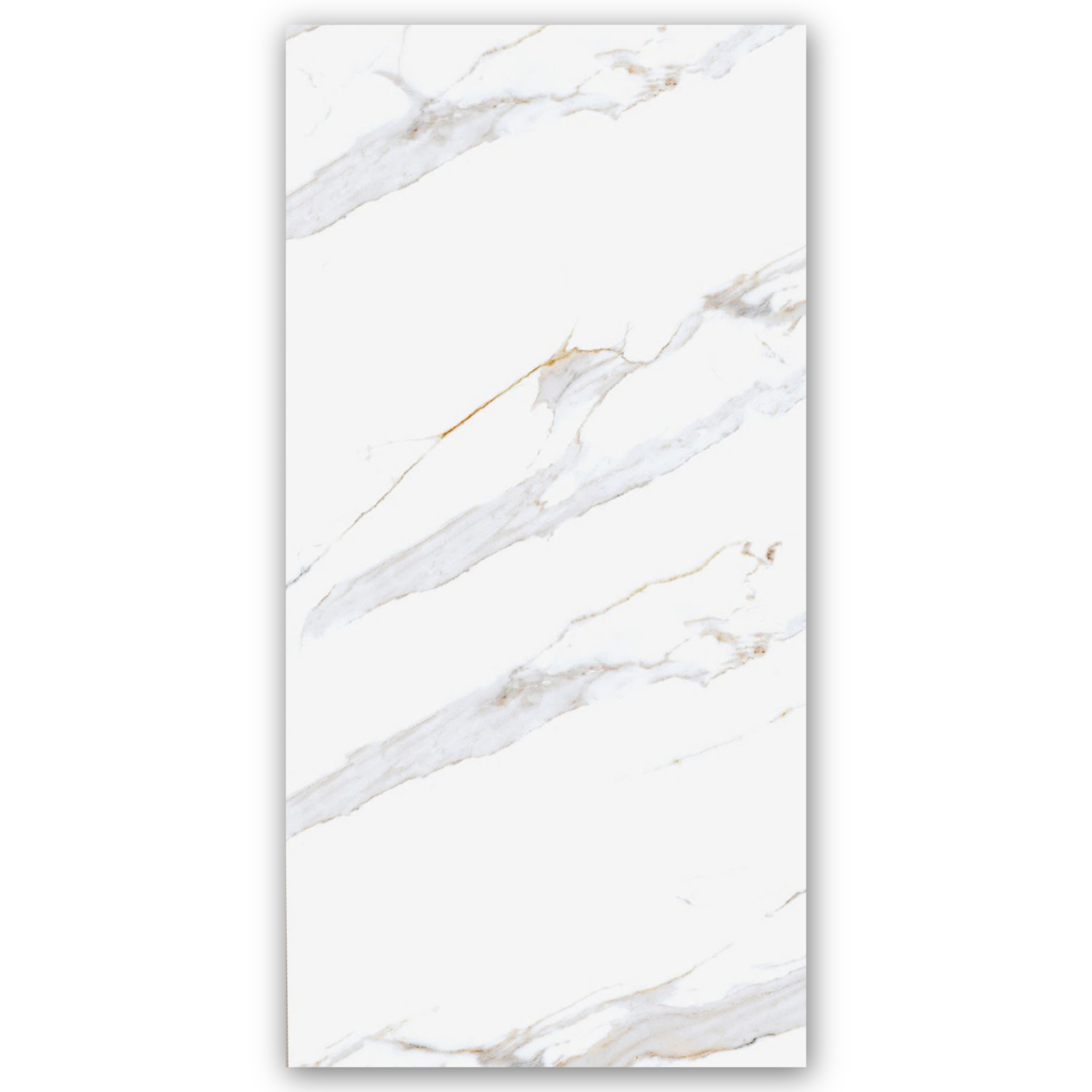 VENICE110 - 60x120 cm, Whitebody, 11, ‌BIIa (3-6%), Glossy