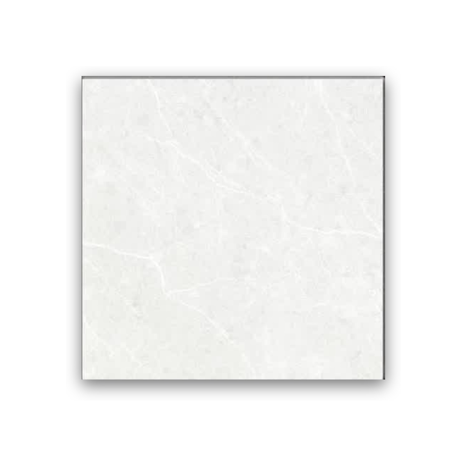 Dorsa Silver - 60x60 cm, Whitebody, 10, ‌BIIa (3-6%), Glossy