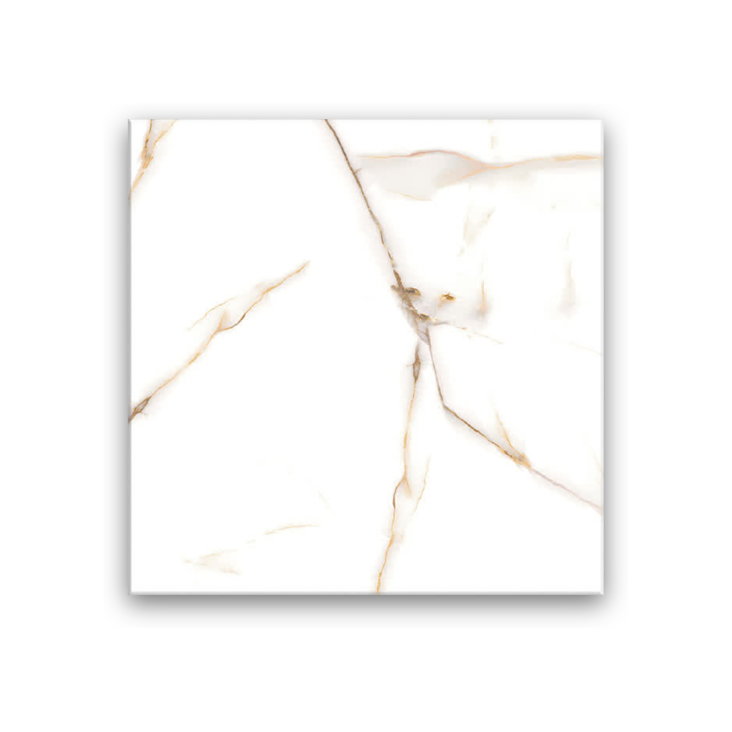 Khatib White - 60x60 cm, Whitebody, 10, ‌BIIa (3-6%), Glossy
