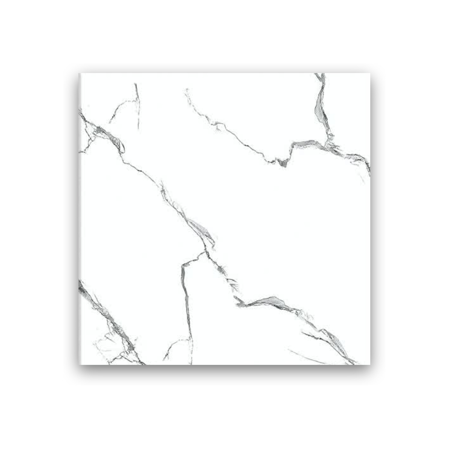 Radan White - 60x60 cm, Whitebody, 10, ‌BIIa (3-6%), Glossy