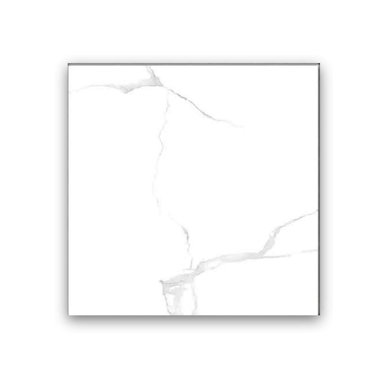 Safwan White - 60x60 cm, Whitebody, 10, ‌BIIa (3-6%), Glossy