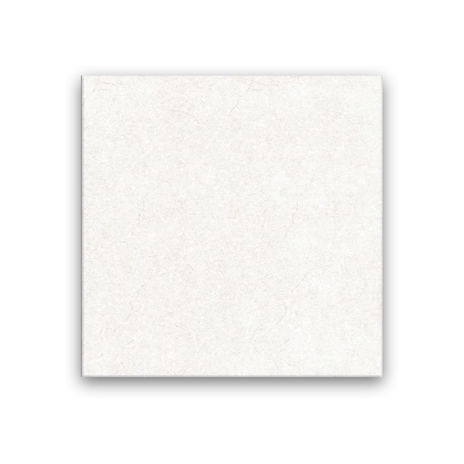 Salahodin Gray - 60x60 cm, Whitebody, 10, ‌BIIa (3-6%), Glossy