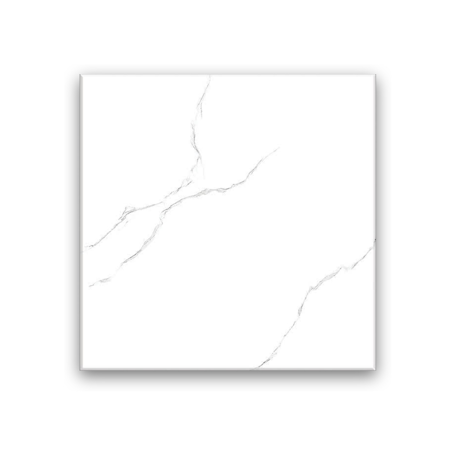 Sarisa White - 60x60 cm, Whitebody, 10, ‌BIIa (3-6%), Glossy