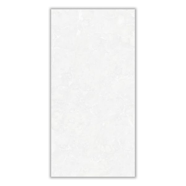Kaveh Light Gray - 60x120 cm, Whitebody, 11